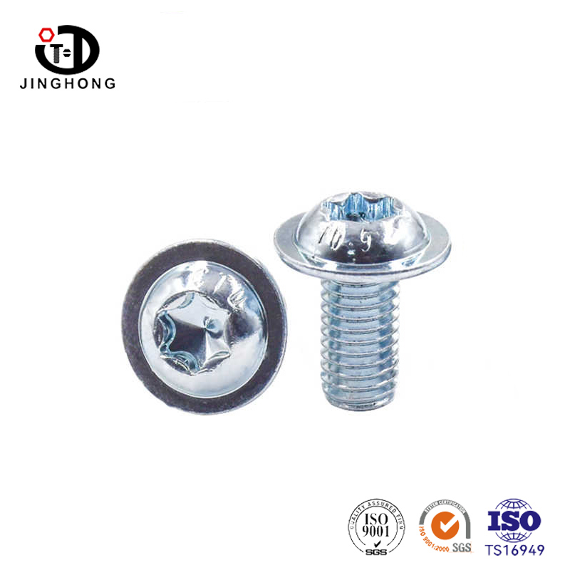Pankop met pad torx bouten
